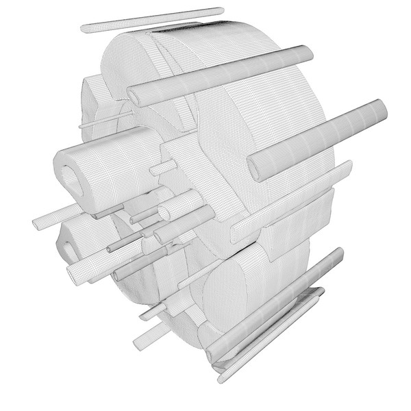 3d model of cross section human forearm - Human forearm (anatomical correct cross section)... by scyrus